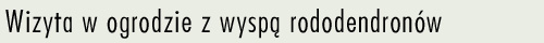 Ogrd z wysp rododendronw